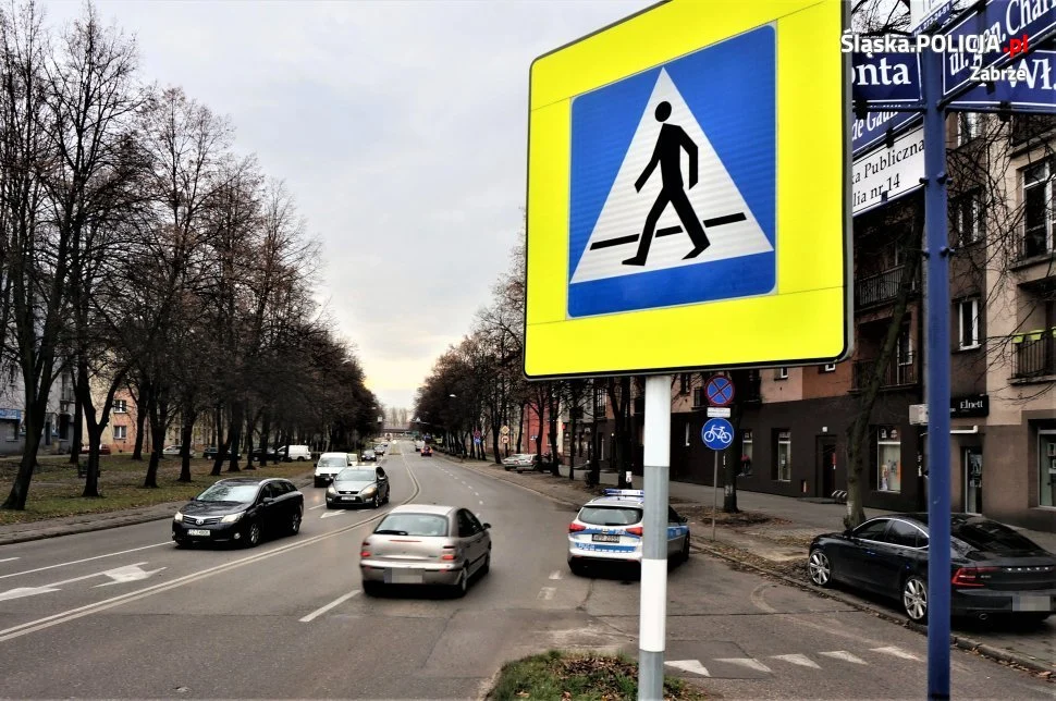 Podsumowanie poniedziałkowych działań "bezpieczny pieszy"