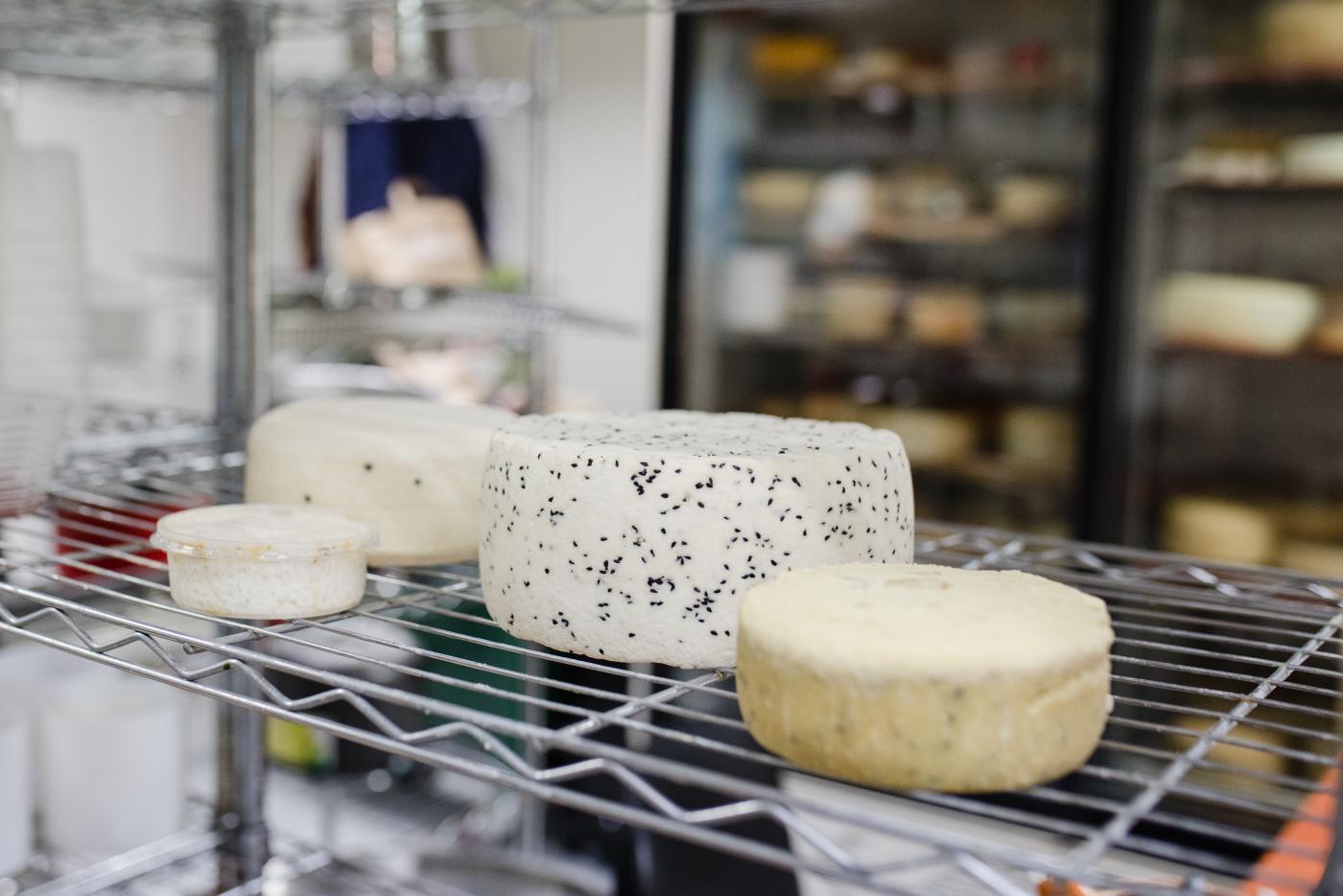 Serowarnia Gertruda - miejsce, które powstało z miłości do serów