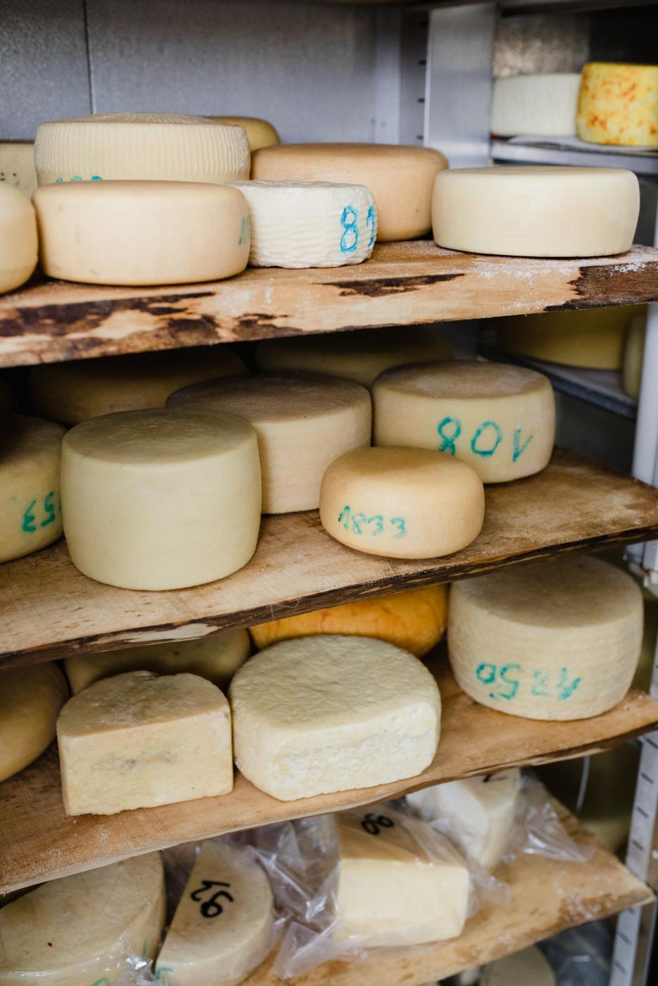 Serowarnia Gertruda - miejsce, które powstało z miłości do serów