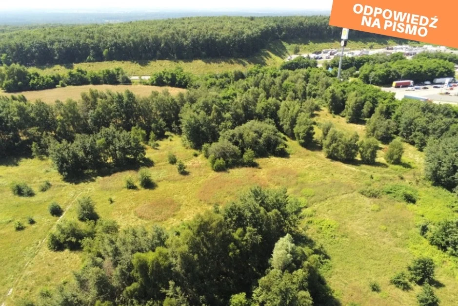 Tereny zielone w okolicy Strefy Aktywności Mrówcza Górka nie zostaną sprzedane
