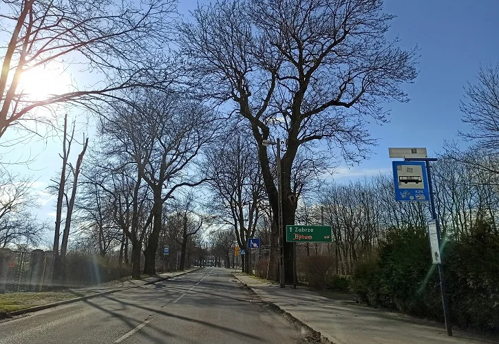 Objazd przez Rudzką Kuźnicę 6