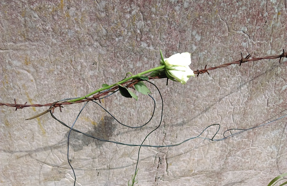 Za nami finał VII konkursu "W kręgu poezji i prozy lagrowej więźniarek KL Ravensbruck"!