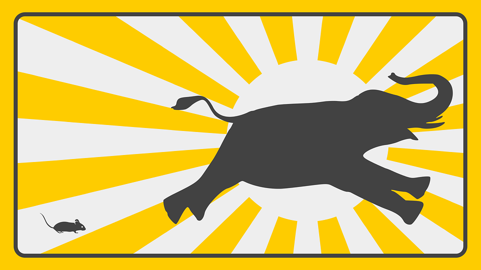 WCK ogłasza konkurs na mema