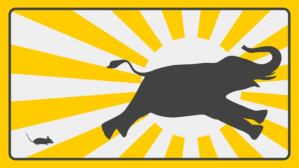 WCK ogłasza konkurs na mema