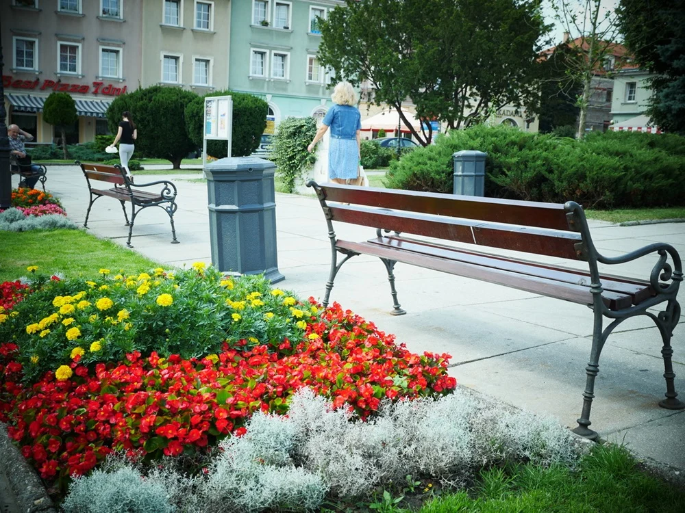 Koncepcja prac na terenach zielonych w 2021 roku