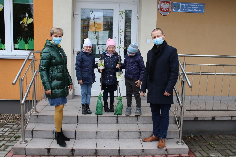 Przedszkolaki zasadzają się na drzewa - drzewka owocowe w piekarskich przedszkolach