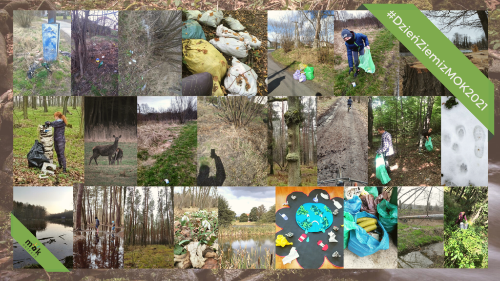 Dzień Ziemi z MOK Orzesze!