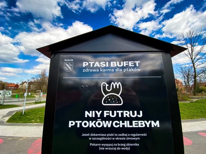 Nie futruj ptoków chlebym! - ptasie bufety - automaty w Rybniku