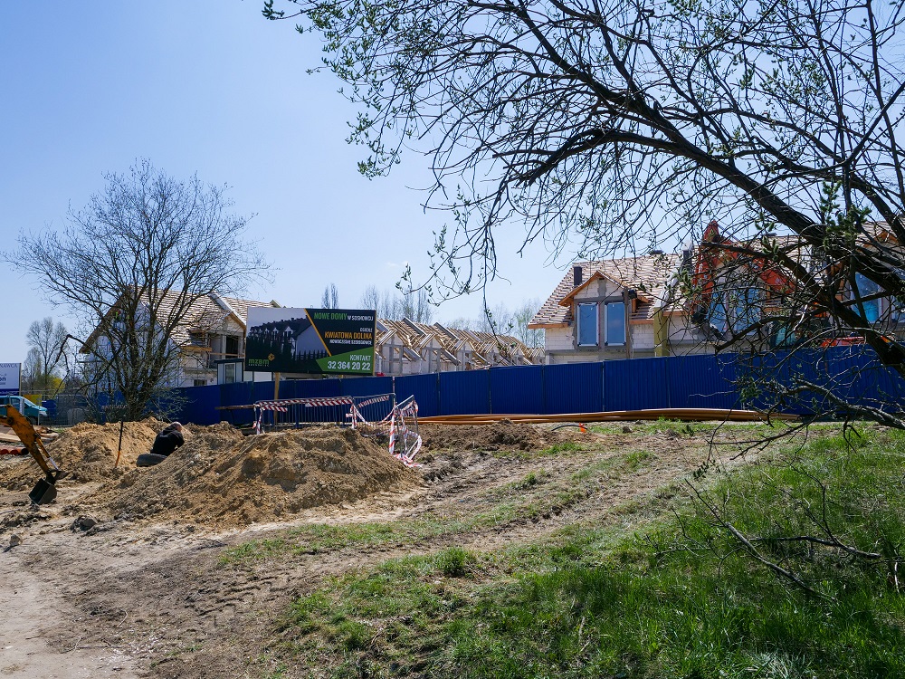 Kwiatowa Dolina rośnie w Sosnowcu