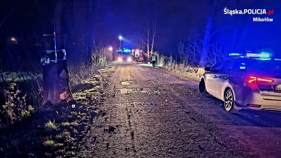 Koszmarny wypadek. 20-latek wjechał w drzewo na prostej drodze