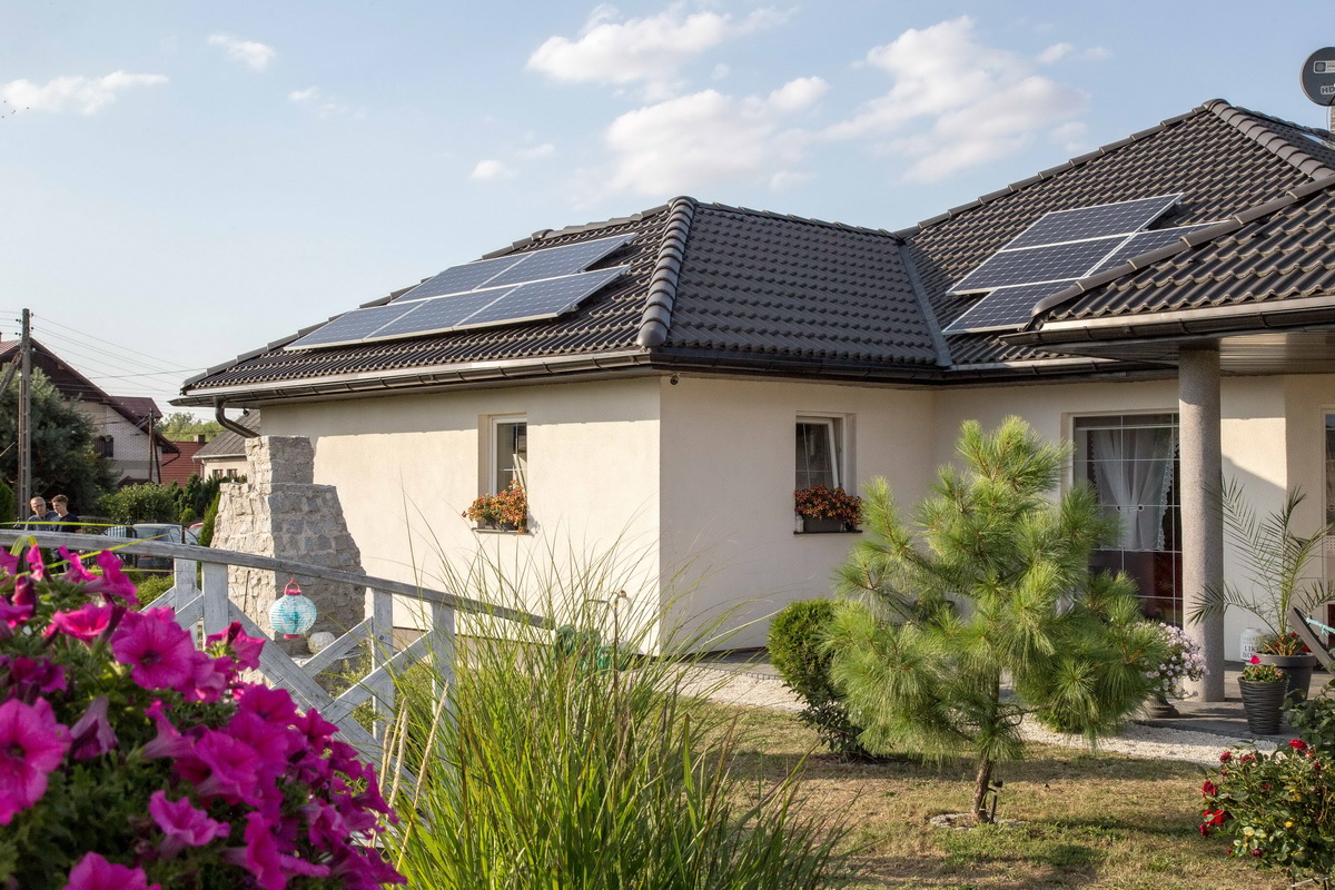 Jak OZE wypierają paliwa kopalne? Raport