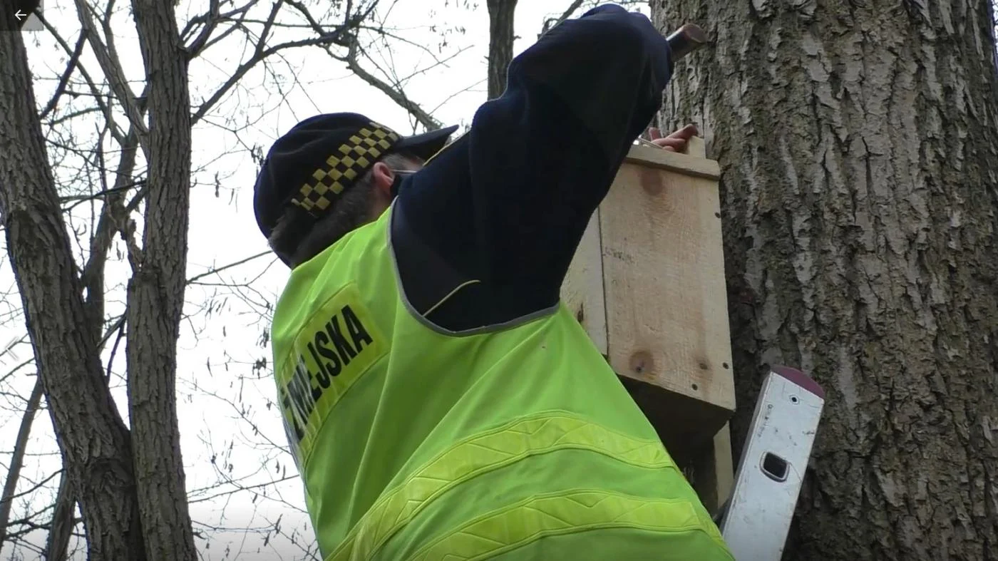 Akcja wieszania budek lęgowych dla ptaków