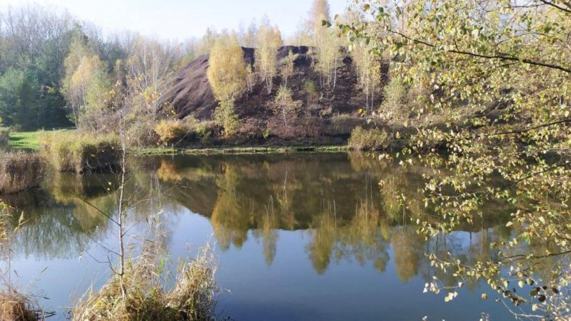 W Świętochłowicach powstanie Zespół Przyrodniczo – Krajobrazowy Dolina Lipinki. Radni za!