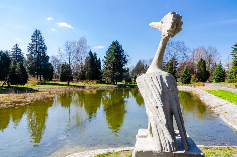 Zagadkowy Perkoz powrócił do Ogrodu Bylinowego