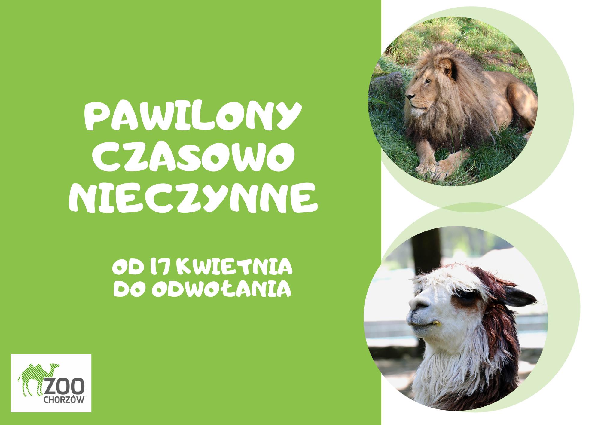 Pawilony w ZOO nieczynne do odwołania