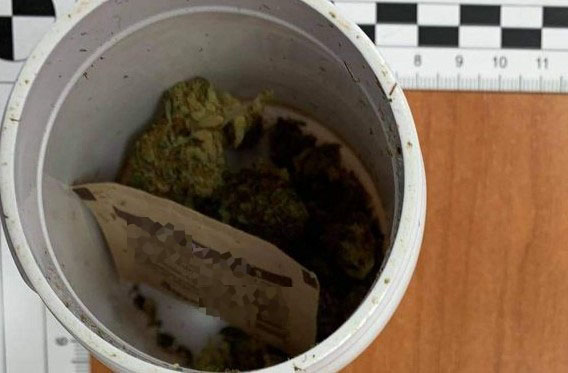 24-latka pod wpływem narkotyków czuła się jak w raju, do którego wjechała... na koniu!