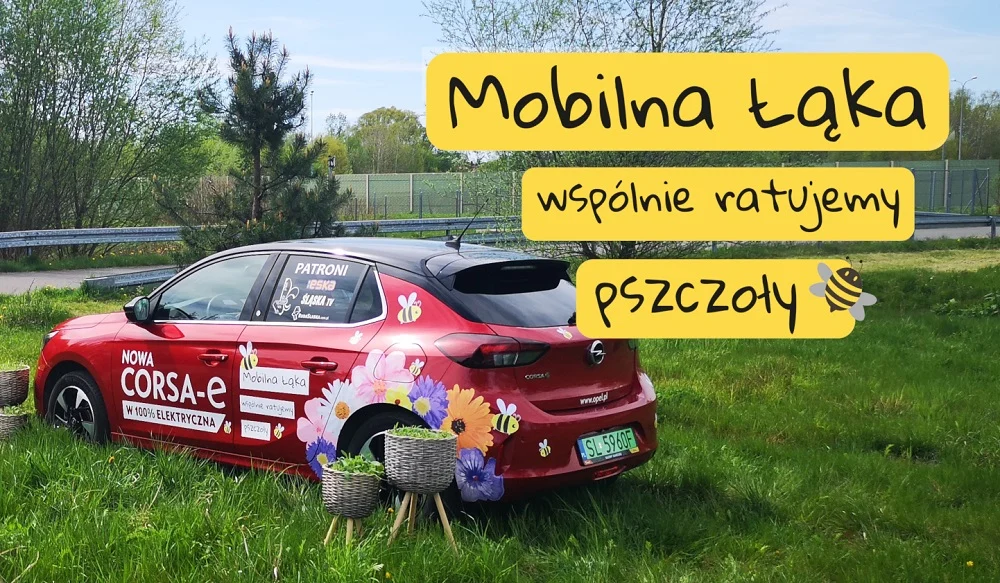 Mobilna Łąka - na ratunek pszczołom!