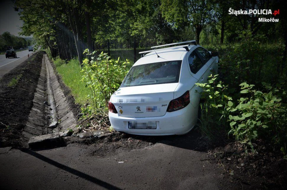 Rudzianin zagapił się i wjechał w ogrodzenie