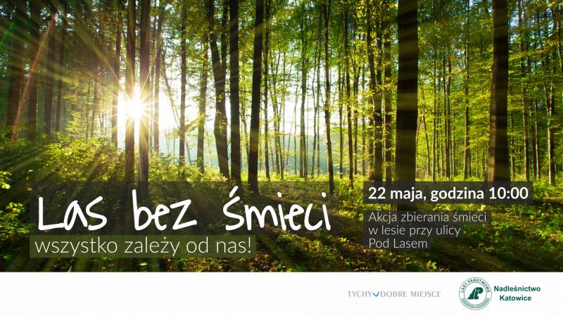 Las bez śmieci - wszystko zależy od nas!