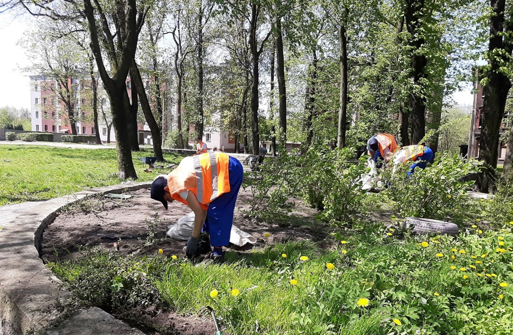 Aktywizacja z widokiem na zieleń
