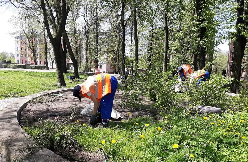 Aktywizacja z widokiem na zieleń