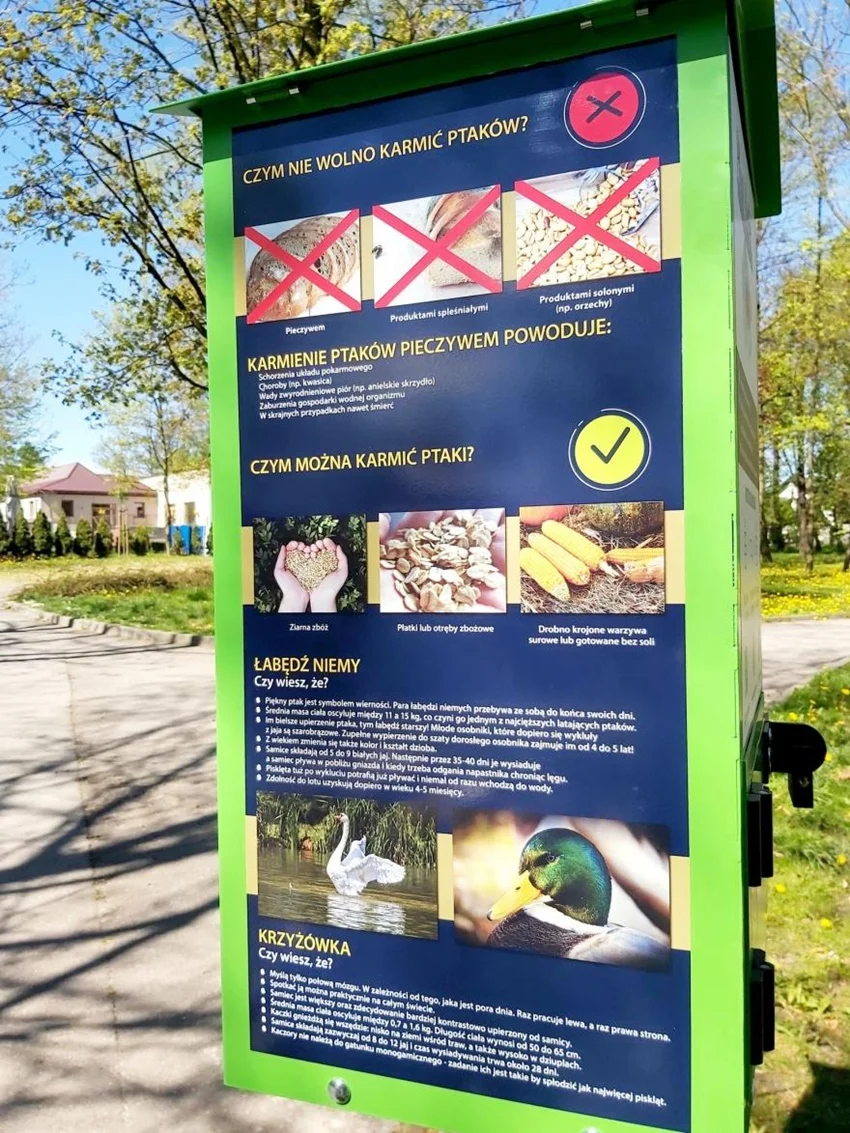 Ptasi Bufet – dokarmiaj nie szkodząc