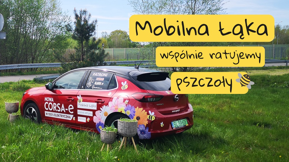 Mobilna Łąka - na ratunek pszczołom!