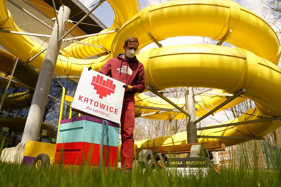 Po zimowej przerwie katowickie pszczoły wracają na baseny