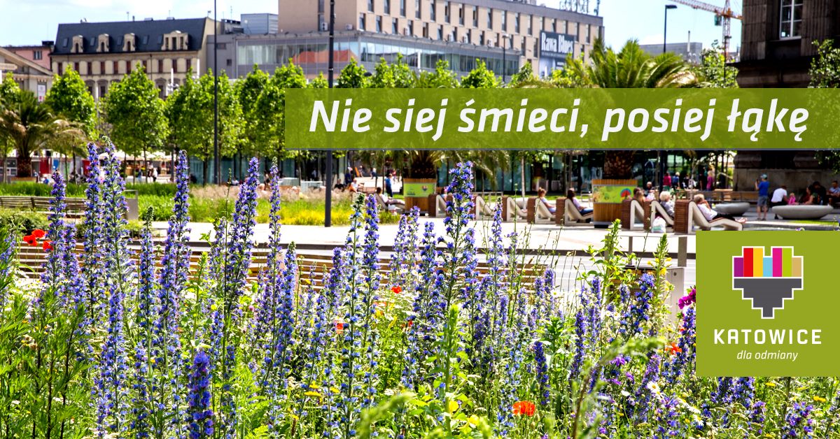 Nie siej śmieci, posiej łąkę