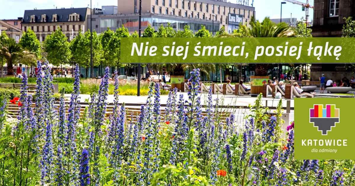 Nie siej śmieci, posiej łąkę