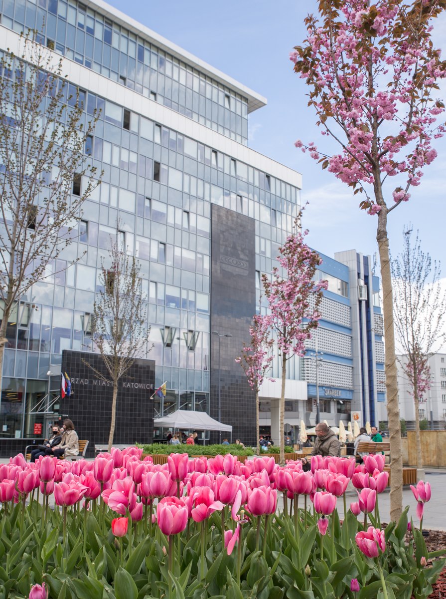 Budżet Obywatelski w Katowicach – wyniki weryfikacji formalnej