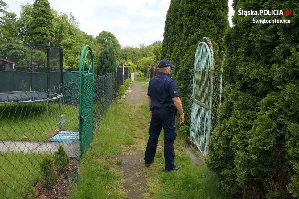 Zadbaj o swój ogródek działkowy