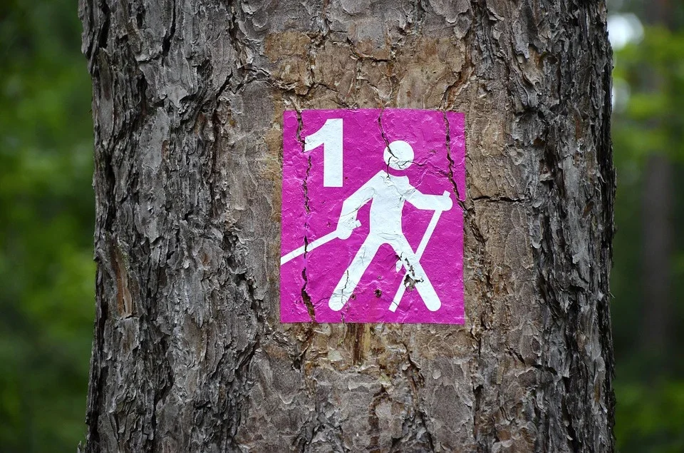 "Chodź z nami! Chodź z kijami!"