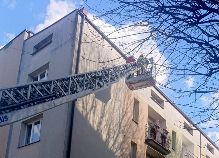 Chorzów: Strażacy uratowali ptaka, który zaklinował się w przewodzie wentylacyjnym