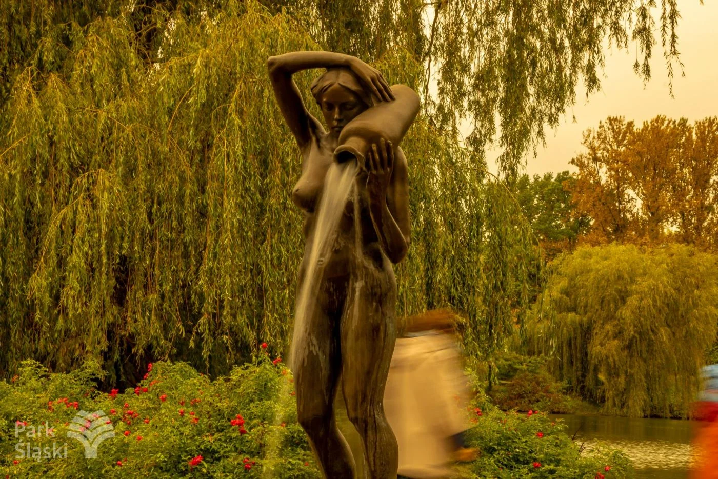 Zobaczcie piękno fontann w Parku Śląskim  