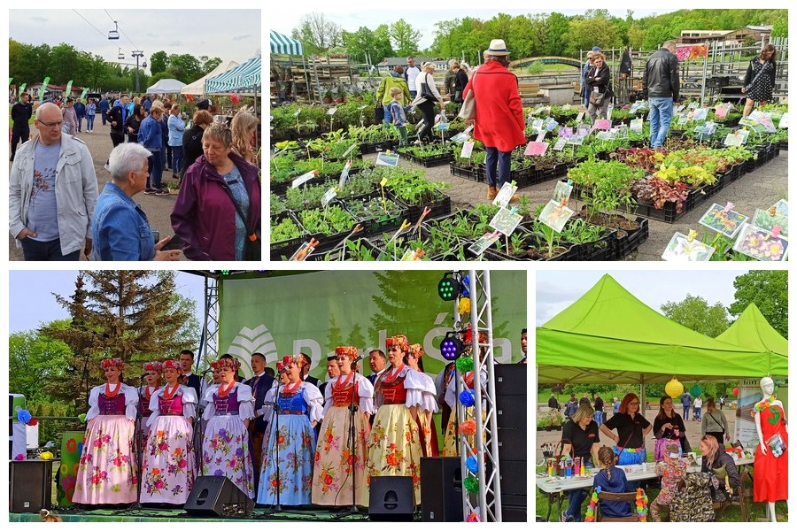 Parkowy Kiermasz Kwiatowy 2021: program, atrakcje, godziny otwarcia