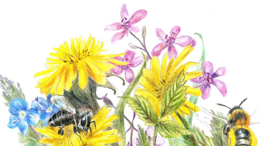 "BLIŻEJ NATURY" - zgłoś swój ogród, balkon lub rabatkę do udziału w konkursie