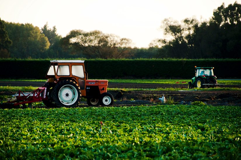 Apel magistratu o szacunek i zrozumienie dla pracy rolników