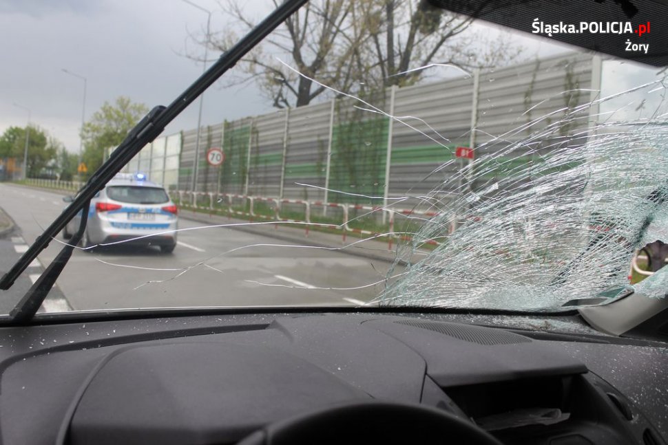 Potrącenie dziecka na pasach