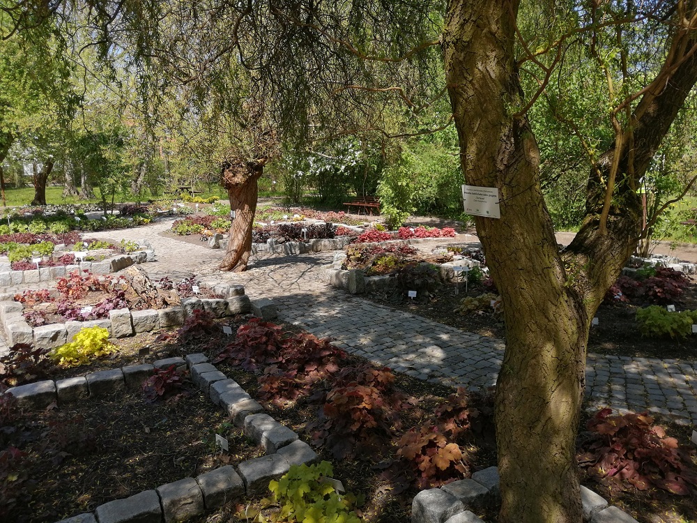 Miejski Ogród Botaniczny zaprasza na weekend