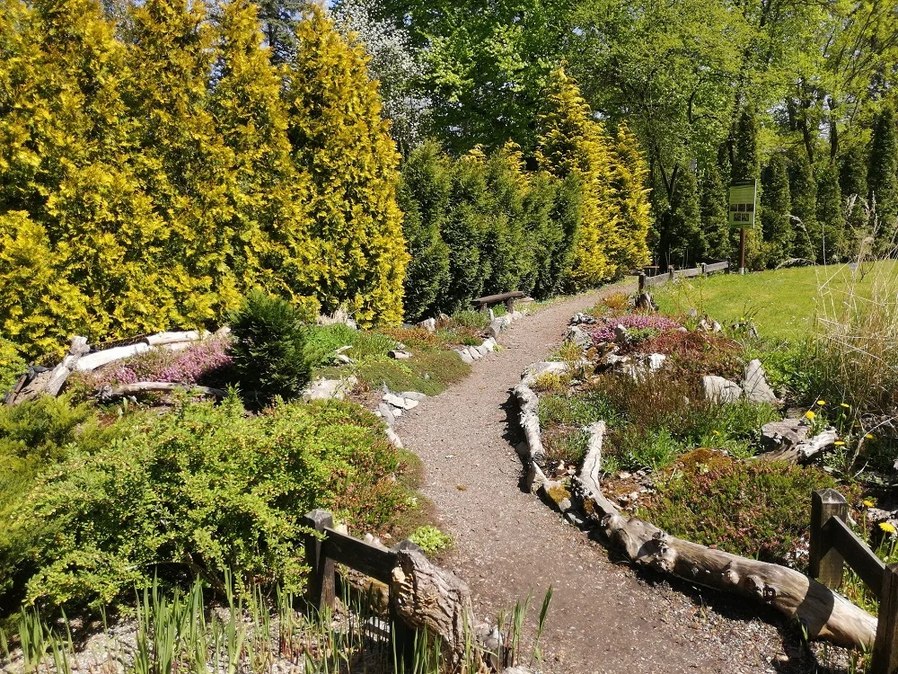 Miejski Ogród Botaniczny zaprasza na weekend