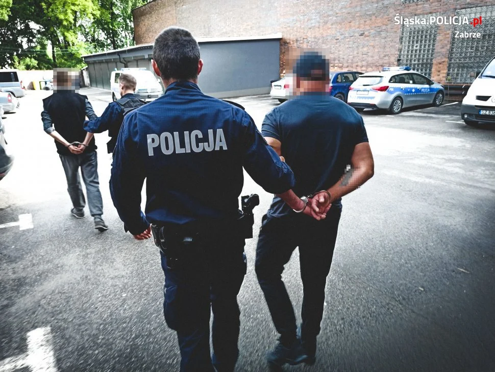 Policja zabezpieczyła trzy plantacje konopi. Zatrzymano mieszkańca Zabrza