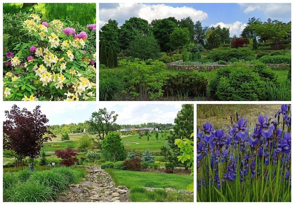 Śląski Ogród Botaniczny w Mikołowie - sielska kraina województwa śląskiego