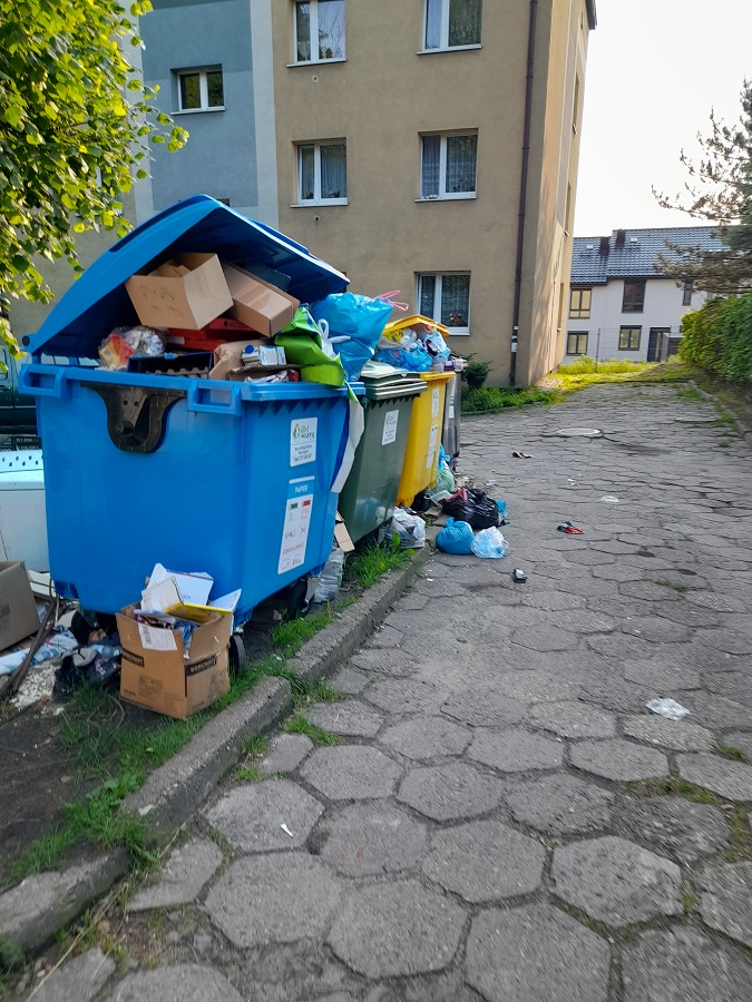 śmieci w Rudzie Śląskiej 2