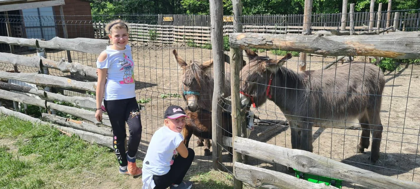 AKUKU przenosi się z Mikołowa. Nowy dom znajdzie w Rudzie Śląskiej