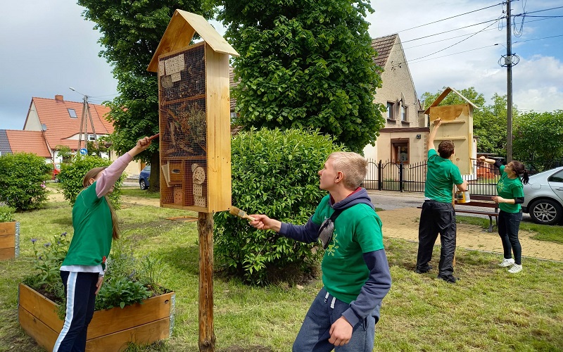 Nowe rośliny, nowe kolory. Wolontariusze odnowili skwer