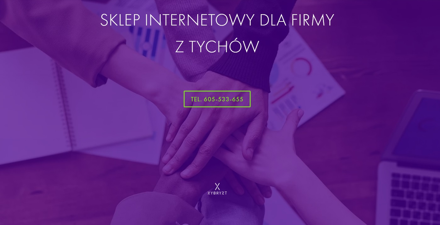 Profesjonalny sklep internetowy dla firmy z Tychów