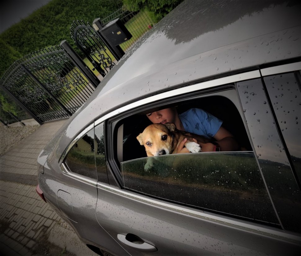 Nie zostawiaj dzieci ani zwierząt w nagrzanym aucie. Im też jest ciepło!