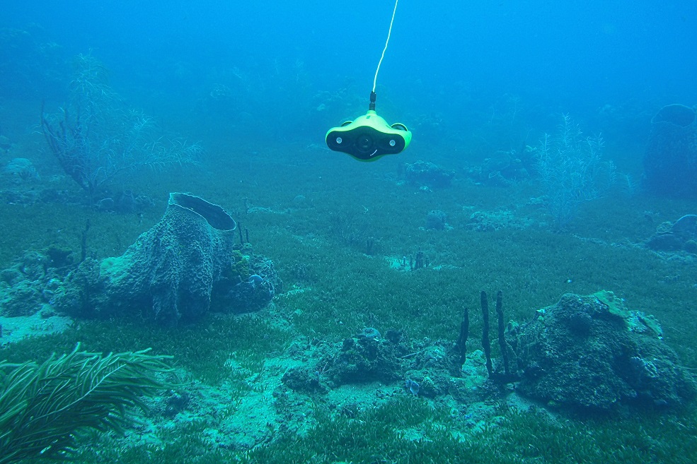 Dom Kultury Chwałowice zaprasza na Rybnicki Festiwal Podróżników Karawana - 11.06-13.06