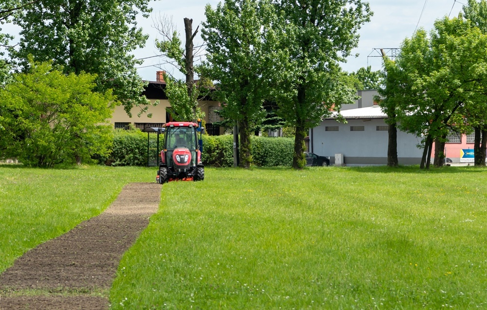 W Bytomiu sieją łąki kwietne